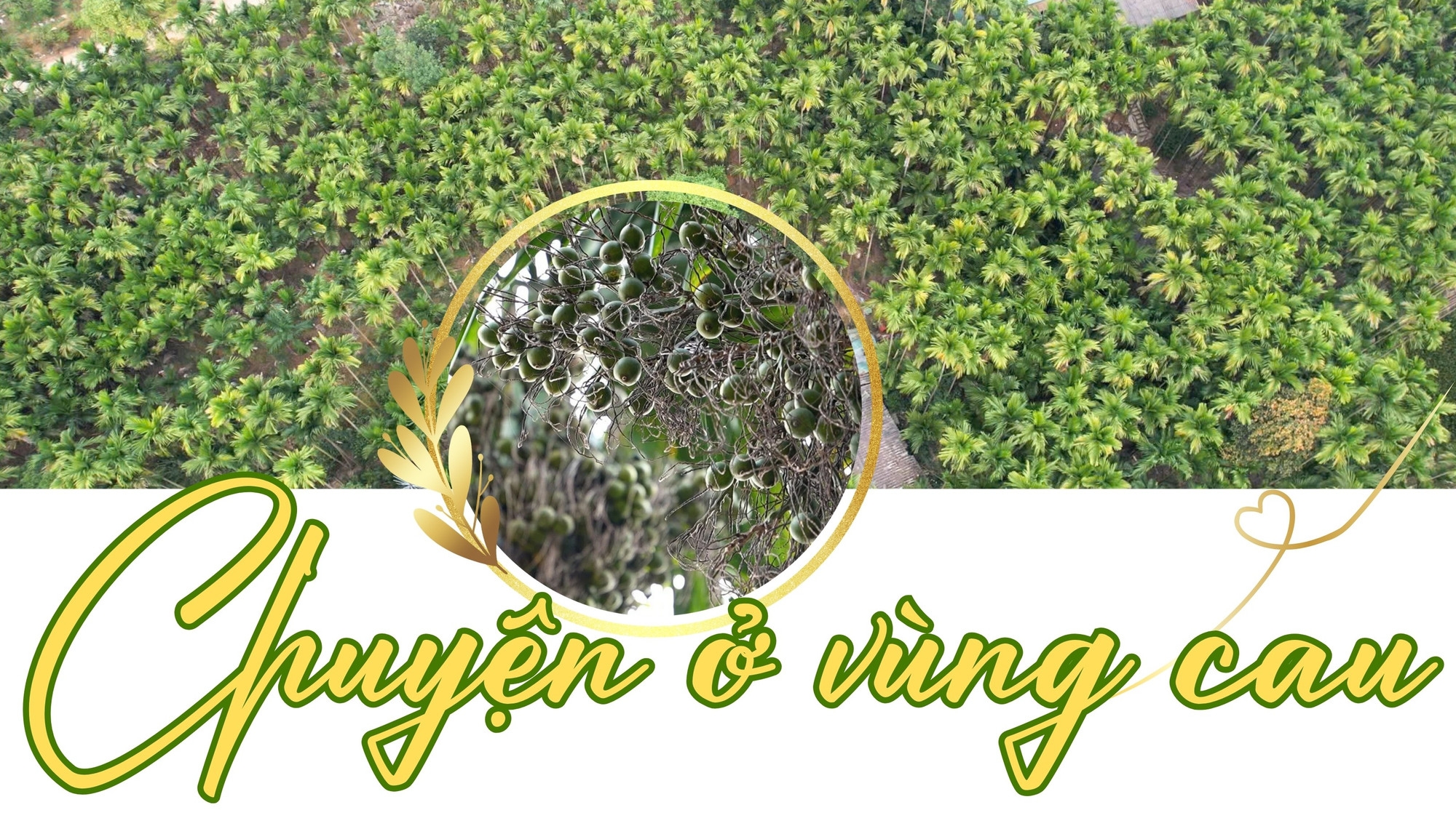 Biến từ vựng thành câu hoàn chỉnh