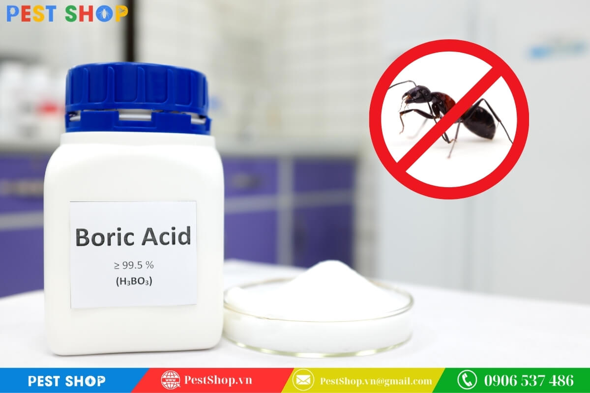 Sử dụng bả kiến chứa axit boric mang lại hiệu quả lây nhiễm chéo tiêu diệt cả tổ