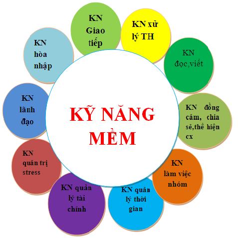 Não bộ và sự hình thành kỹ năng