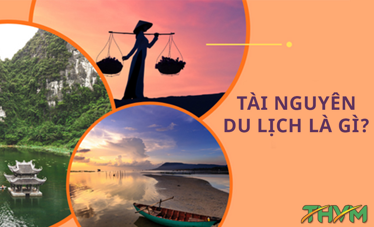 Lịch học và tài nguyên