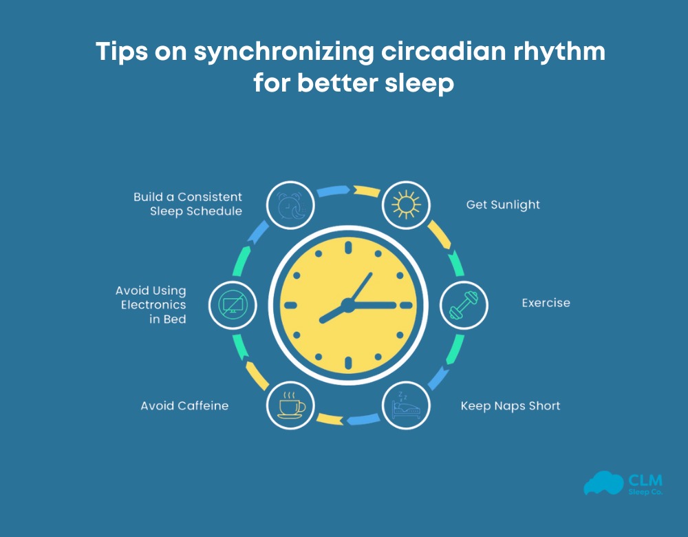 Chu kỳ giấc ngủ và circadian rhythm