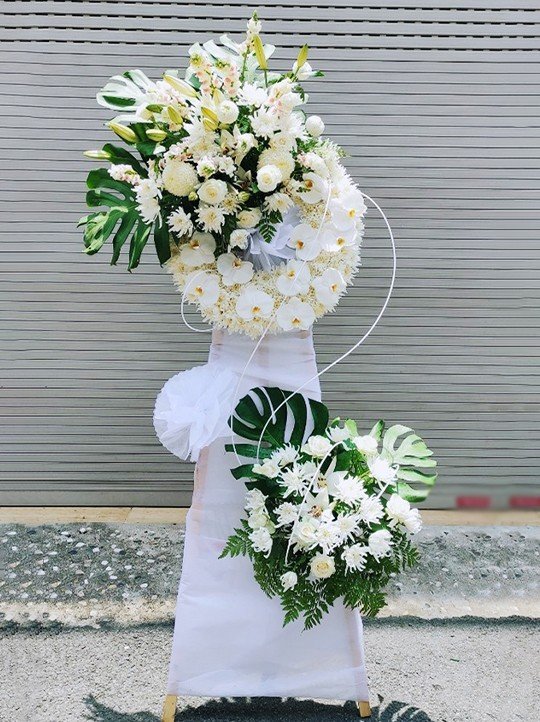 Học bố cục màu sắc chữ