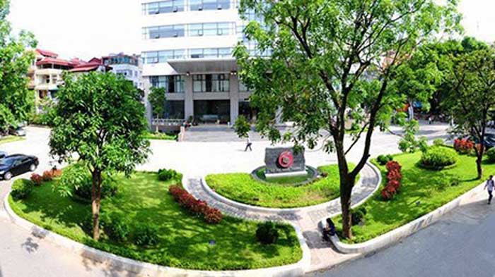Hoạt động học thuật và đối ngoại