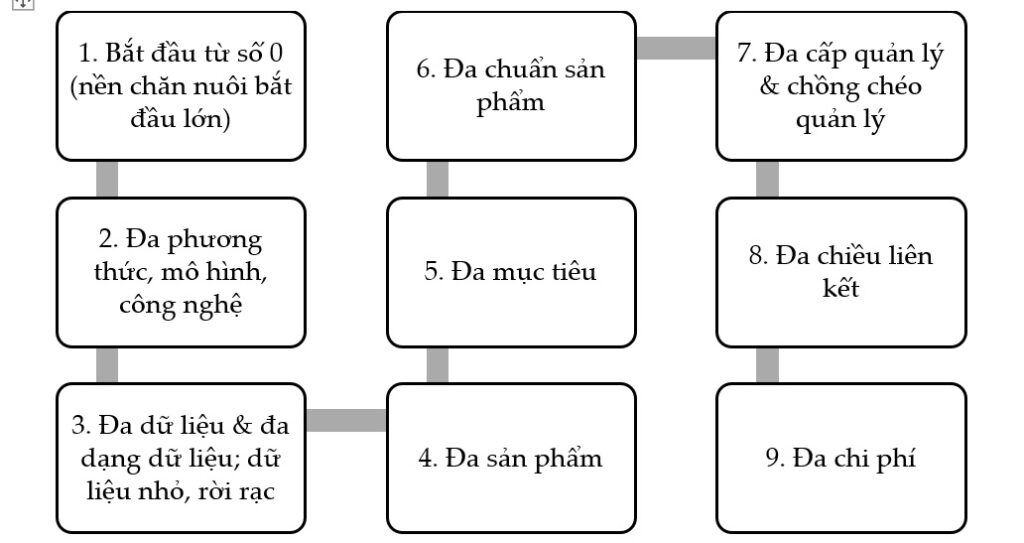 Năm 3 - Chuyển đổi tư duy và chuẩn bị lãnh đạo