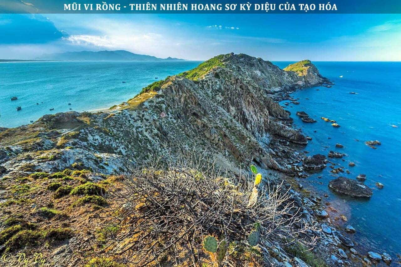 Món Việt với rau thơm