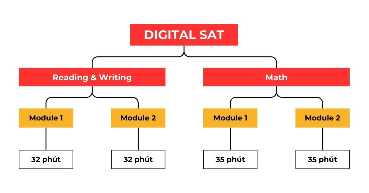 Cấu trúc bài thi SAT số