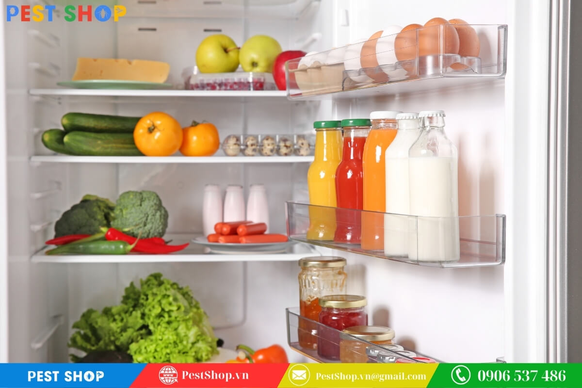 Bảo quản thực phẩm trong hộp kín khí để cắt đứt nguồn sống của loài kiến