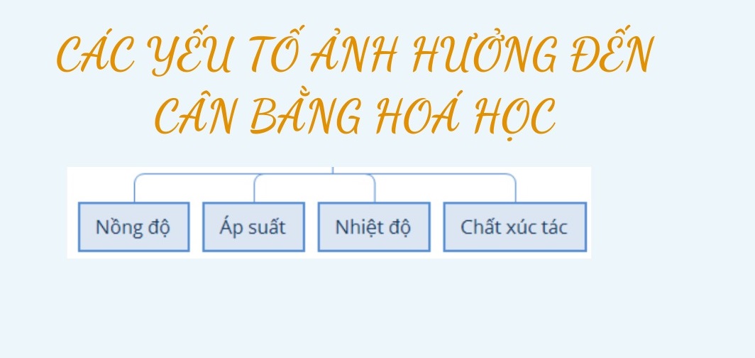 Lịch học hè cân bằng