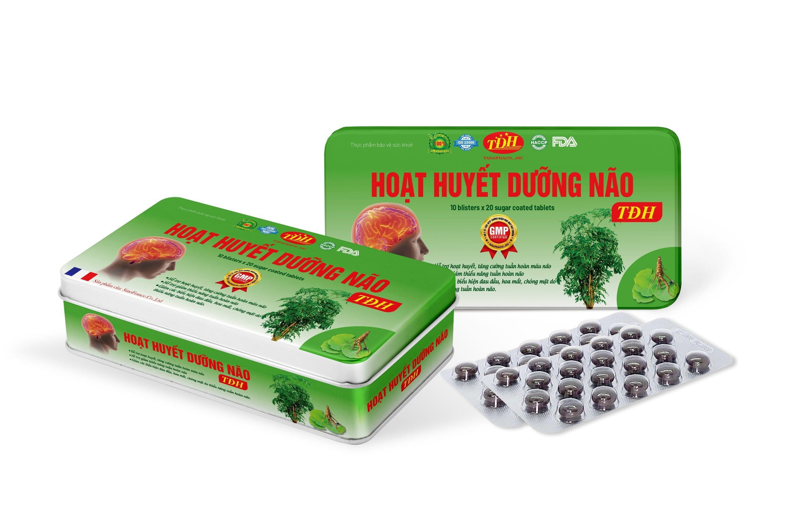 Hình minh họa não bộ học tập