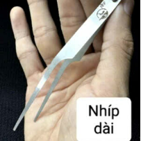 Các loại nhíp chuyên dụng và ống nghiệm cấp nước trong thú chơi kiến