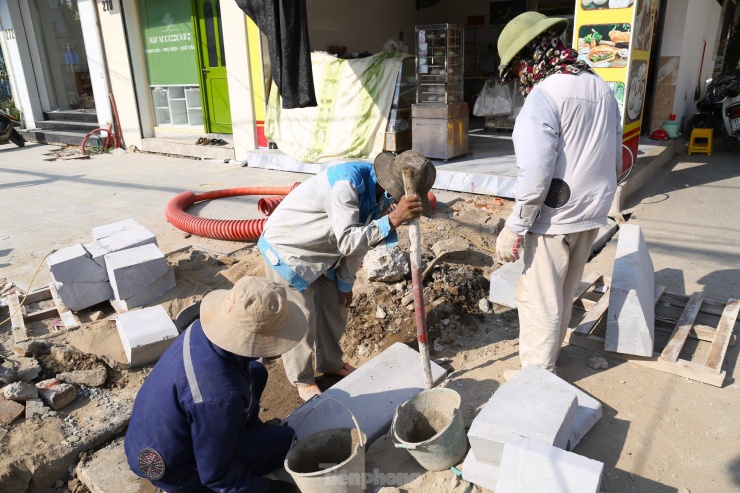 Kiến thợ đang làm việc trong tổ