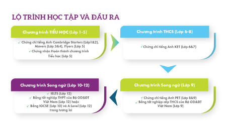 Lộ trình học tiếng Anh
