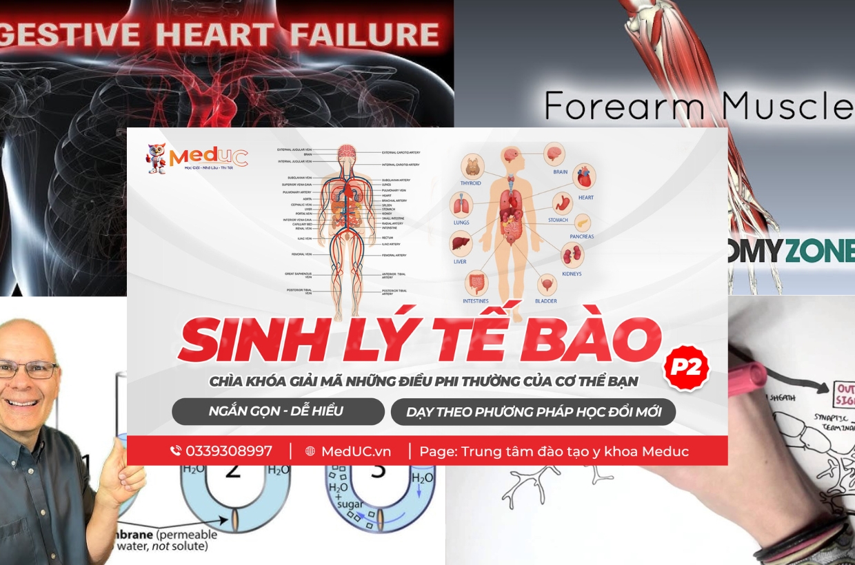 Sinh viên học tập hiệu quả