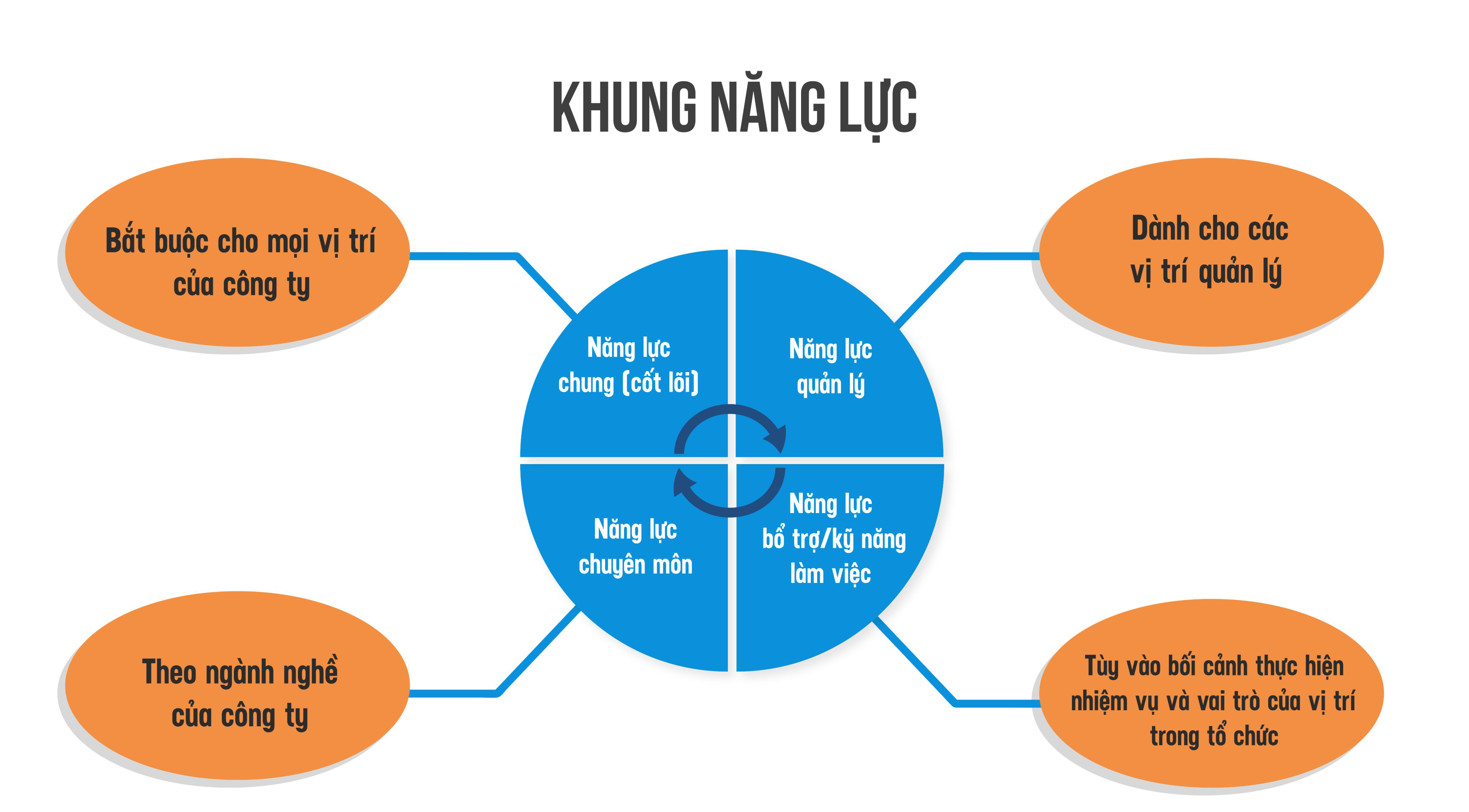 Cấu trúc khung năng lực