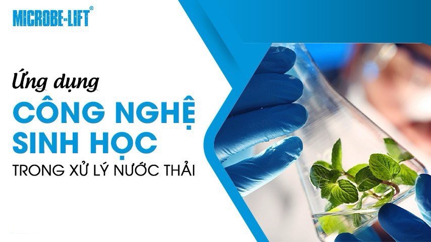 Sơ đồ cơ chế ung thư