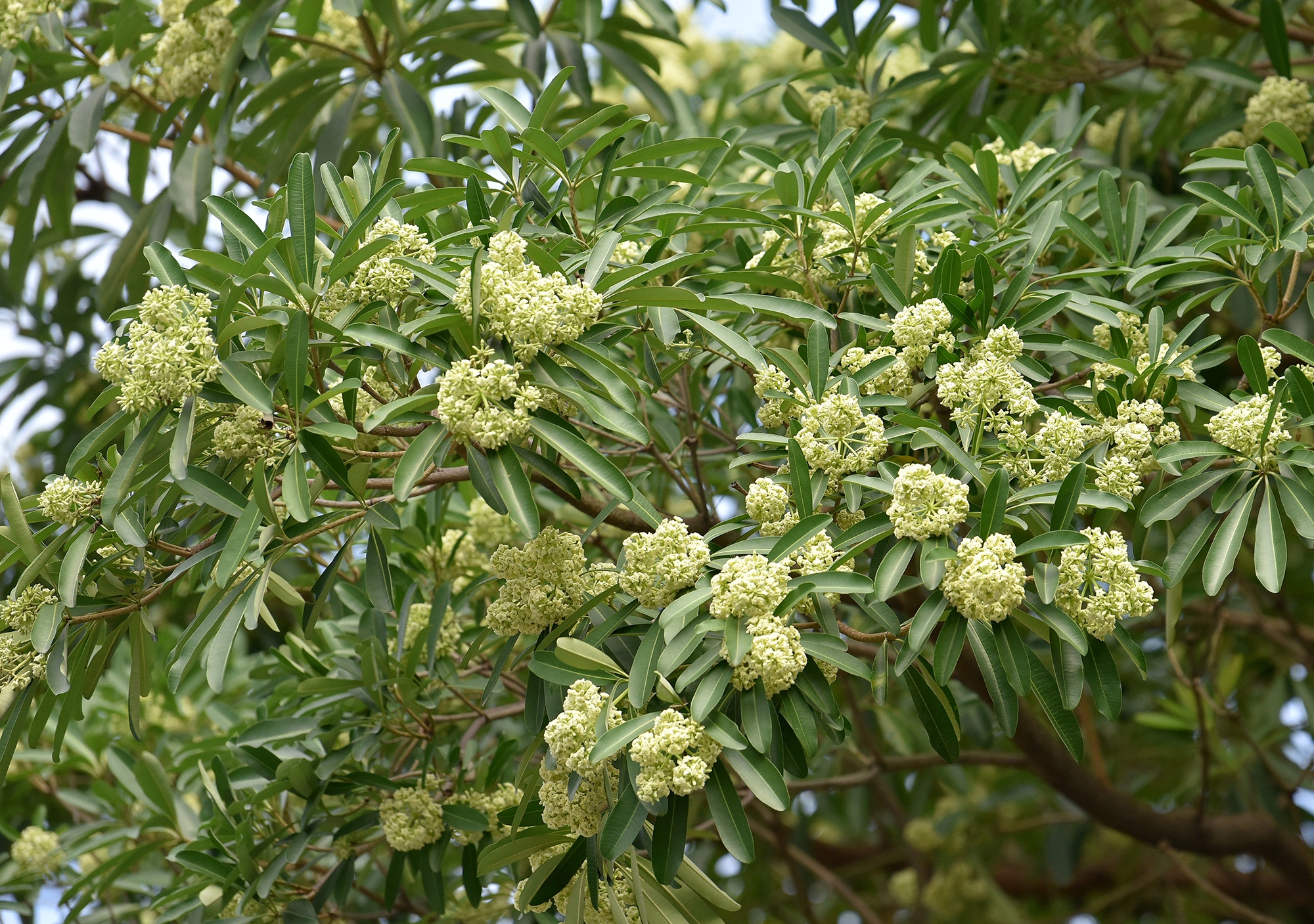 Chữa lỗi bài Hóa