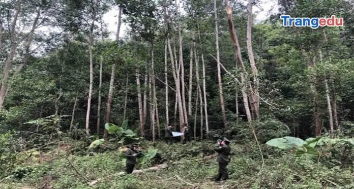 Thói quen học dàn trải