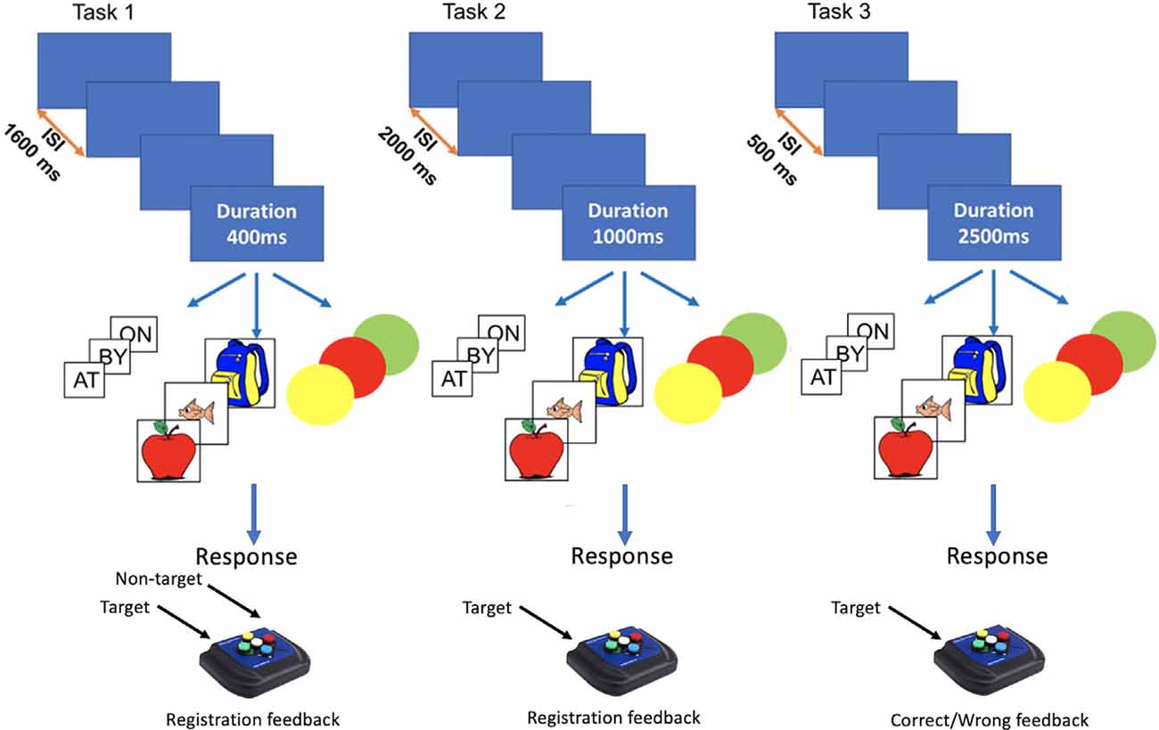 Cấu trúc Task 1 và Task 2