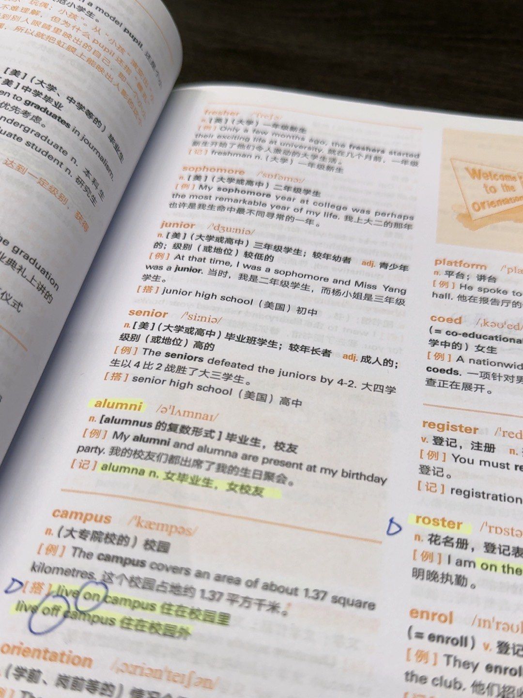 Học sinh luyện thi IELTS Writing Band 7