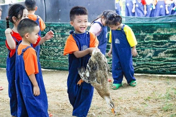 Học sinh trải nghiệm nông nghiệp tại World Farm