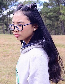 Ảnh Phương Mỹ Chi thời trẻ
