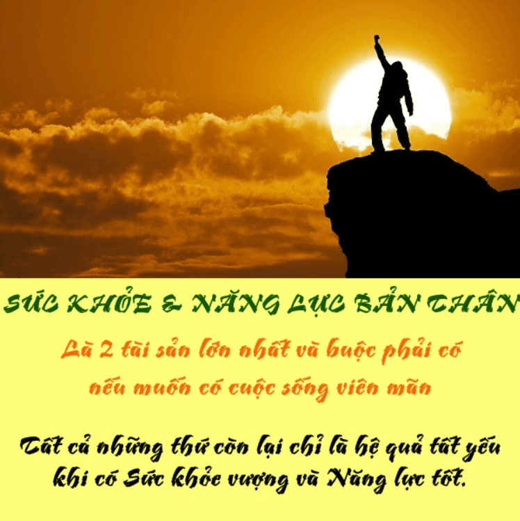Áp dụng bánh xe cuộc đời để ưu tiên và điều chỉnh nhịp sống