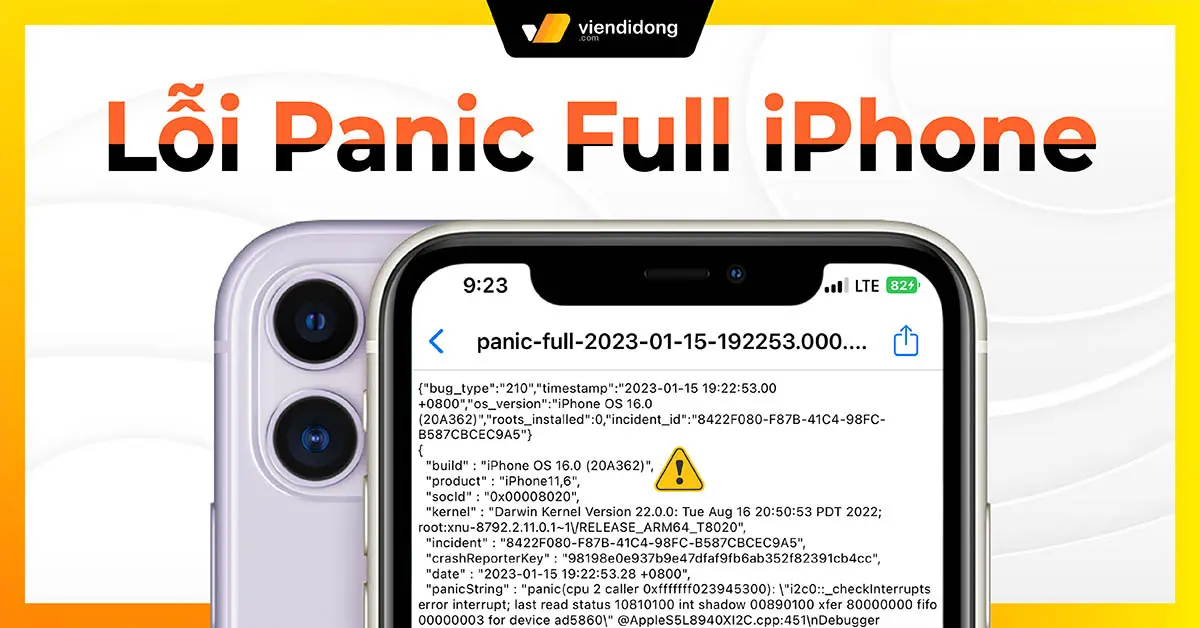 Màn hình lỗi panic full trên iPhone