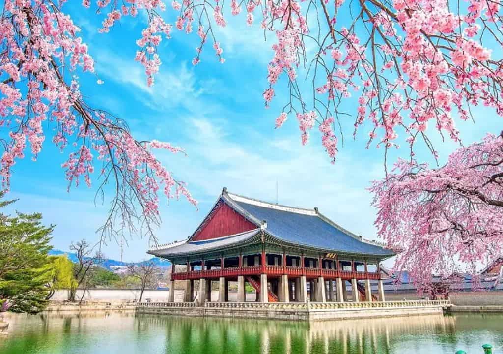 Phân tích lý do trượt