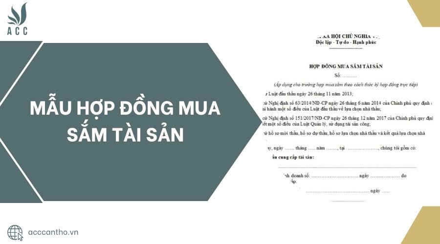 Nhóm đi cả ngày ở khu Nam và khu Đông