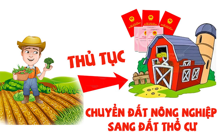 Đất nông nghiệp chưa chuyển mục đích