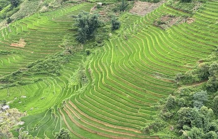 Ruộng bậc thang Sa Pa
