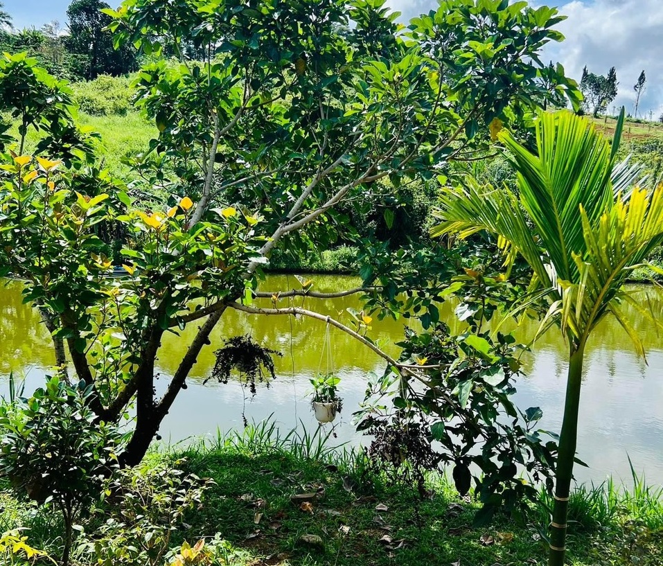 Nhà đất vùng ven