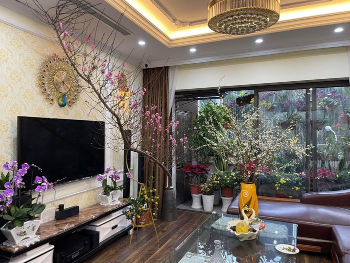 Cân bằng phong thủy