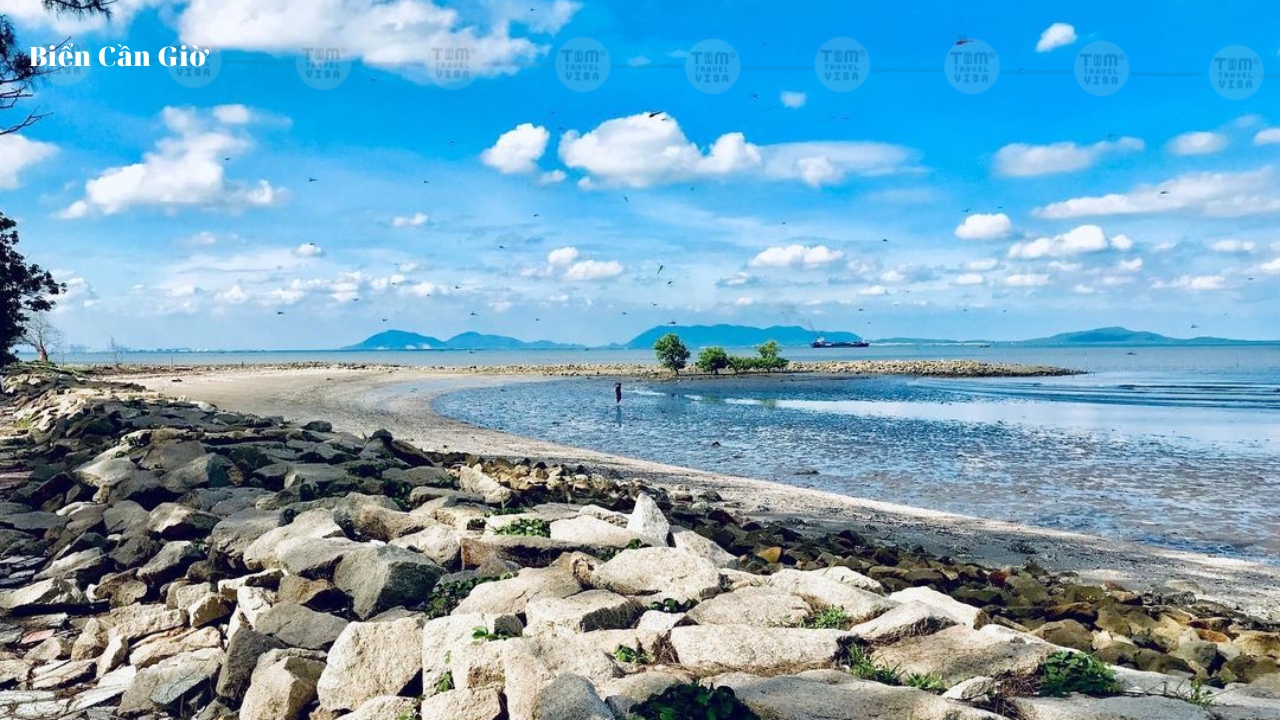 Khu vực ven biển Cần Giờ