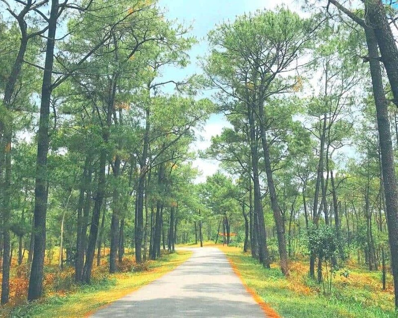 Dự án căn hộ hoàn thiện