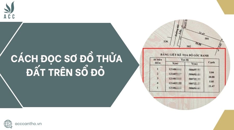 Người kiểm tra sơ đồ thửa đất
