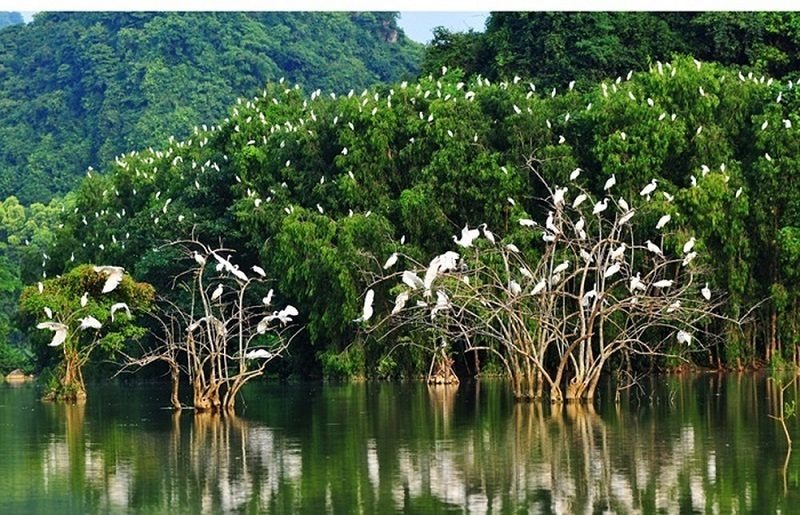 Sơ đồ quan hệ dự án