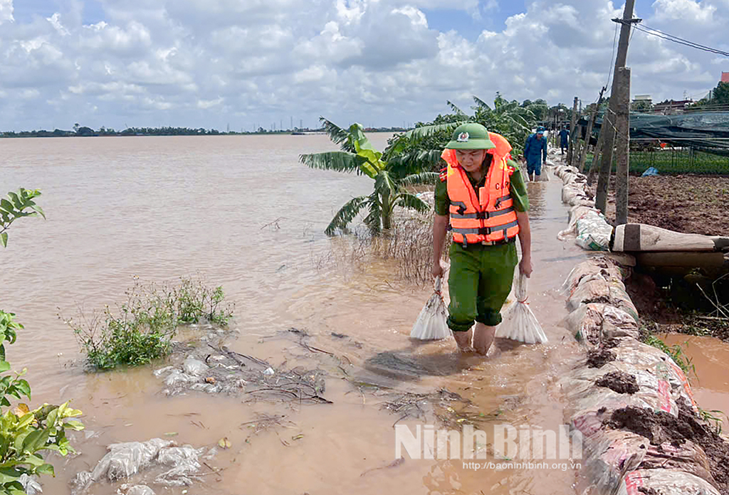 Giao dịch minh bạch hơn