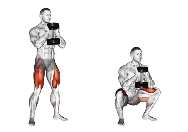 Squat bài tập strength training cơ bản