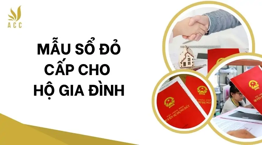 Hồ sơ xin cấp sổ đỏ