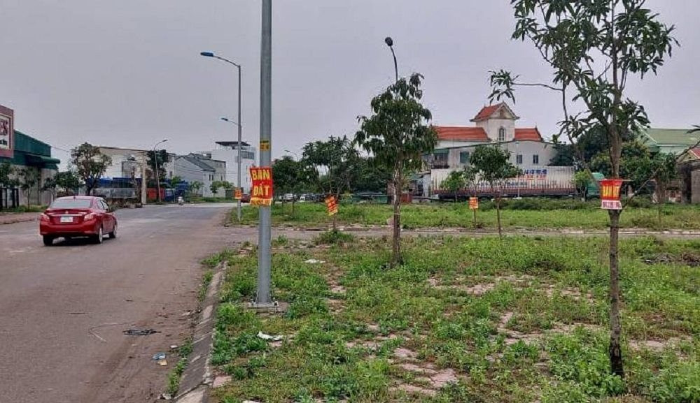 Kiểm tra dự án trước khi mua