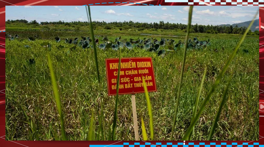 Biểu đồ chu kỳ thị trường