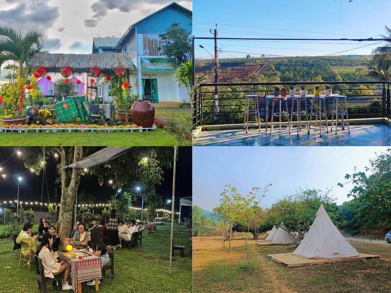 Đồi chè xanh bao quanh homestay Bảo Lộc