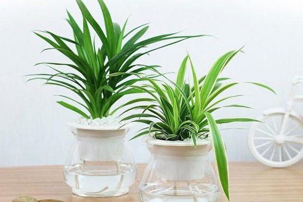 Mặt bằng nhà ở thực tế