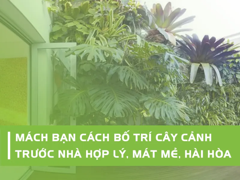 Bố trí cây trước cổng