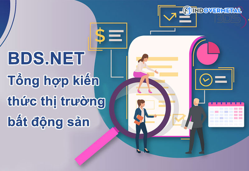 Nhà đầu tư phân tích dữ liệu bất động sản