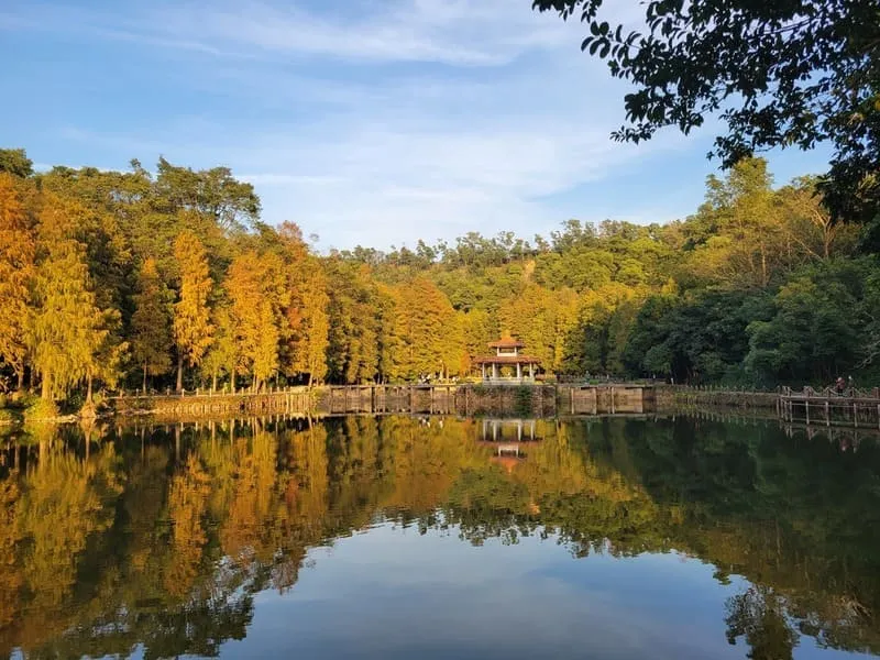 Phạm vi thẩm quyền công chứng
