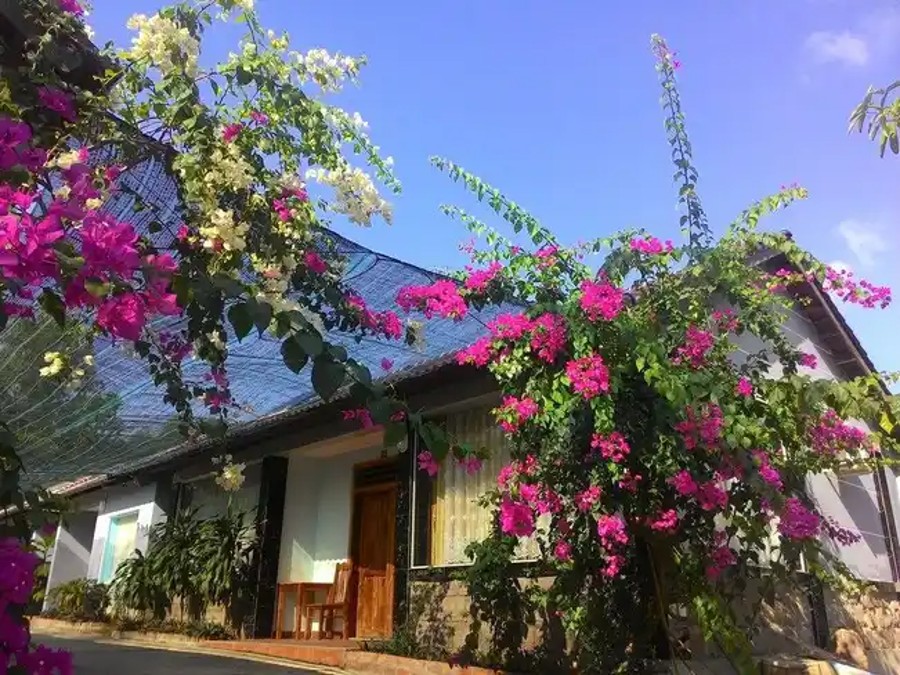 Căn hộ đô thị đang phục hồi