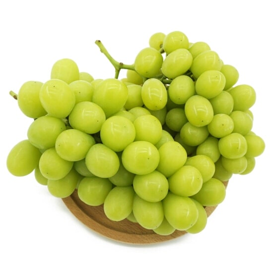 Nhà siêu nhỏ giữa cây xanh