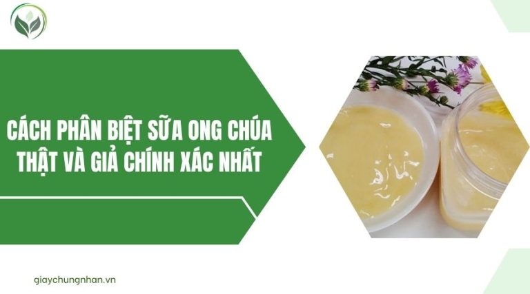 Sơ đồ phần riêng và phần chung